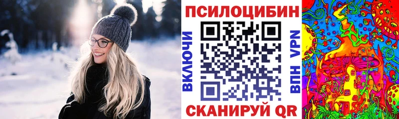 где купить наркотик  Верхоянск  Галлюциногенные грибы Psilocybe 